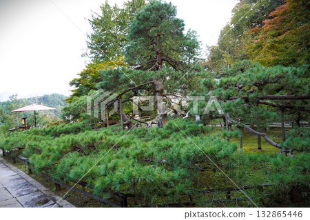 鎌倉、北向觀音、天台宗總本山淨樂寺以及信州別所溫泉週邊地區的景色 鎌倉、北向觀音、天台宗總本山淨樂寺以及信州別所溫泉週邊地區的景色 132865446
