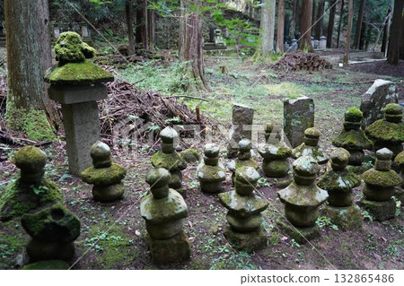 鎌倉、北向觀音、天台宗總本山淨樂寺以及信州別所溫泉週邊地區的景色 鎌倉、北向觀音、天台宗總本山淨樂寺以及信州別所溫泉週邊地區的景色 132865486
