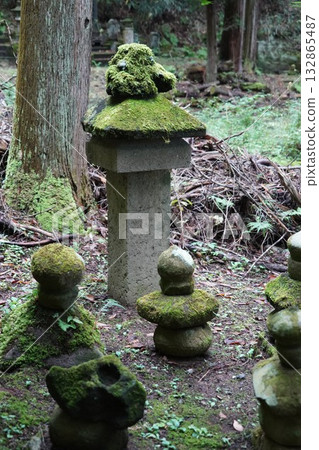鎌倉、北向觀音、天台宗總本山淨樂寺以及信州別所溫泉週邊地區的景色 鎌倉、北向觀音、天台宗總本山淨樂寺以及信州別所溫泉週邊地區的景色 132865487