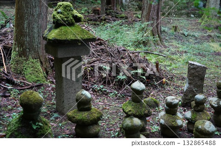 鎌倉、北向觀音、天台宗總本山淨樂寺以及信州別所溫泉週邊地區的景色 鎌倉、北向觀音、天台宗總本山淨樂寺以及信州別所溫泉週邊地區的景色 132865488