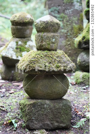 鎌倉、北向觀音、天台宗總本山淨樂寺以及信州別所溫泉週邊地區的景色 鎌倉、北向觀音、天台宗總本山淨樂寺以及信州別所溫泉週邊地區的景色 132865492