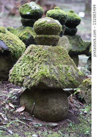 Scenery of Kamakura, Kitamuki Kannon, Jorakuji Temple, a special head temple of the Tendai sect, and the area around Bessho Onsen in Shinshu Scenery of Kamakura, Kitamuki Kannon, Jorakuji Temple, a special head temple of the Tendai sect, and the area around Bessho Onsen in Shinshu 132865494