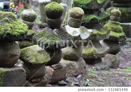 Scenery of Kamakura, Kitamuki Kannon, Jorakuji Temple, a special head temple of the Tendai sect, and the area around Bessho Onsen in Shinshu Scenery of Kamakura, Kitamuki Kannon, Jorakuji Temple, a special head temple of the Tendai sect, and the area around Bessho Onsen in Shinshu 132865496