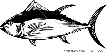 Simple tuna line drawing illustration Simple tuna line drawing illustration 132865503