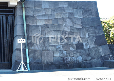 Sakashita Gate, Imperial Palace [Chiyoda Ward, Tokyo] 132865624