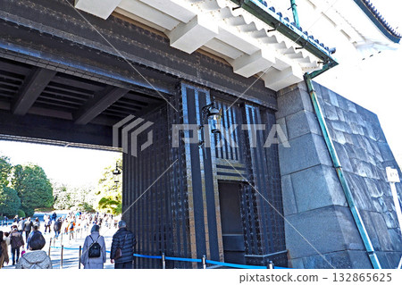 Sakashita Gate, Imperial Palace [Chiyoda Ward, Tokyo] 132865625