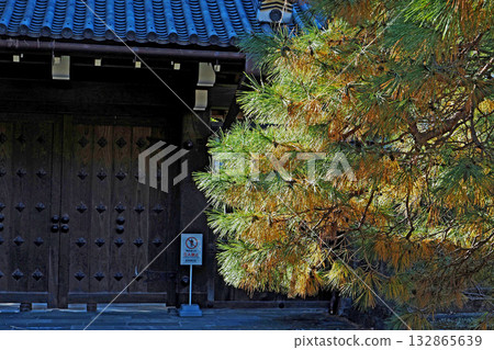 皇宮乾街門 [東京千代田區] 132865639