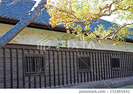 Imperial Silkworm Farm on Inui Street, Imperial Palace [Chiyoda Ward, Tokyo] 132865642