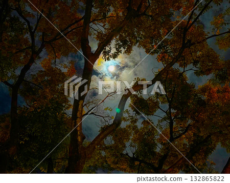 A horrifying magic ritual awaits! A spooky full moon!! 132865822