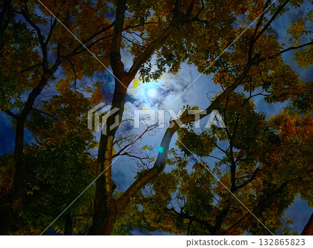 一場恐怖的魔法儀式即將上演!詭異的滿月! ! 一場恐怖的魔法儀式即將上演!詭異的滿月! ! 132865823