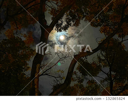 一場恐怖的魔法儀式即將上演！詭異的滿月！ ！ 132865824