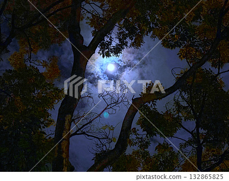 A horrifying magic ritual awaits! A spooky full moon!! A horrifying magic ritual awaits! A spooky full moon!! 132865825