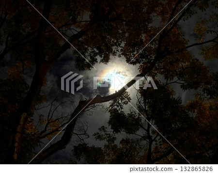 A horrifying magic ritual awaits! A spooky full moon!! 132865826