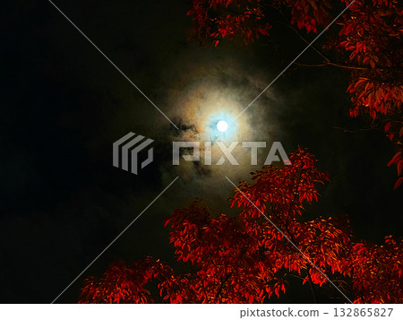 令人毛骨悚然的月亮 132865827