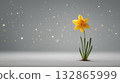 A single daffodil stands on a neutral surface with glowing star-like lights in the background, evoking a magical, hopeful spring scene.  132865999