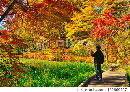 信州輕井澤的秋天－雲場池的秋葉 132866237