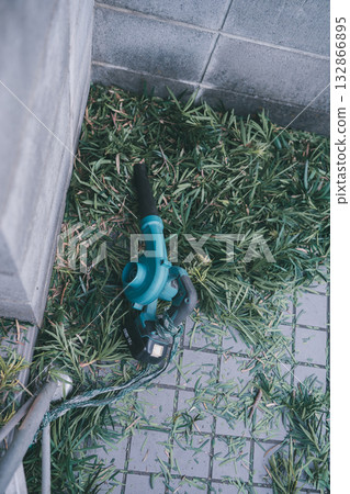 garden, pruning, wood 132866895