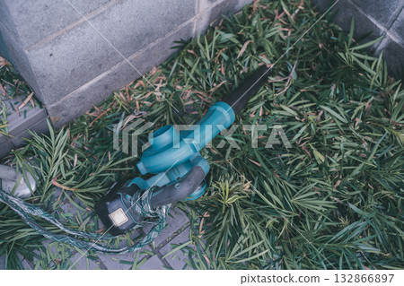 garden, falling leafe, foliage 132866897