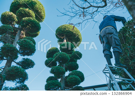 gardener, landscaper, pruning 132866904