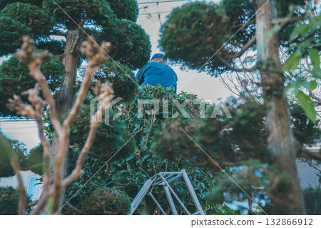 gents, male, man 132866912