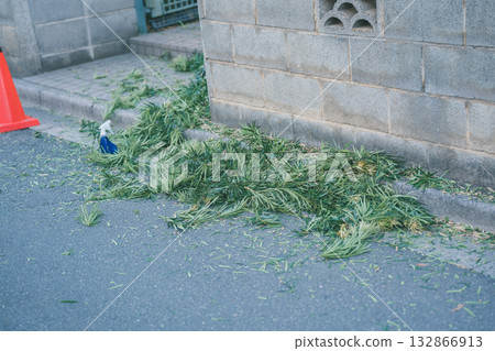 garden, wood, falling leafe 132866913