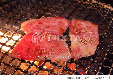 Delicious Yakiniku Restaurant Top-Quality Kalbi Yakiniku 132866981