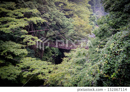 Shikoku, Tokushima, Iya Kazura Bridge 132867114