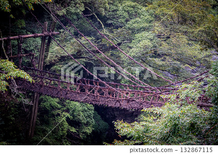 Shikoku, Tokushima, Iya Kazura Bridge 132867115