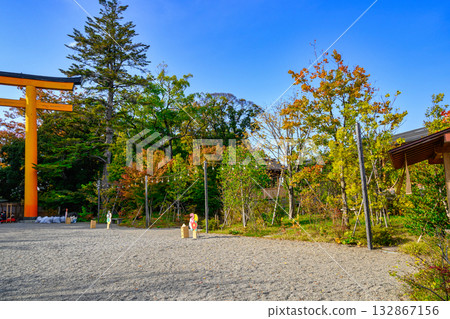 Kawagoe City Kawagoe Hikawa Shrine Hikawa Kaikan 132867156