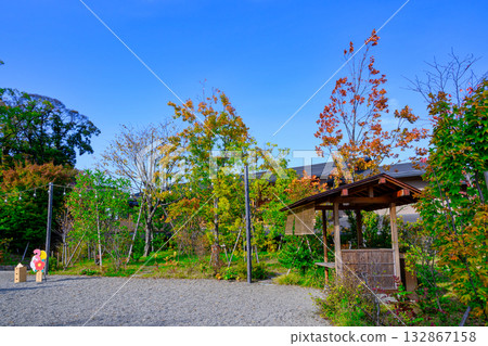 川越市川越冰川神社 132867158