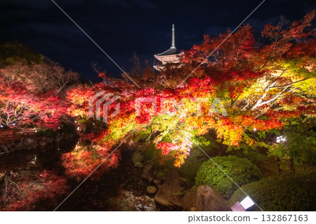 Five story pagoda of Toji temple with autumn garden light up, Kyoto 132867163