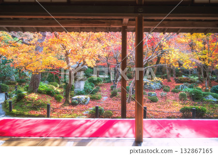 red carpet on veranda to view autumn garden in Enkoji temple, Kyoto red carpet on veranda to view autumn garden in Enkoji temple, Kyoto 132867165