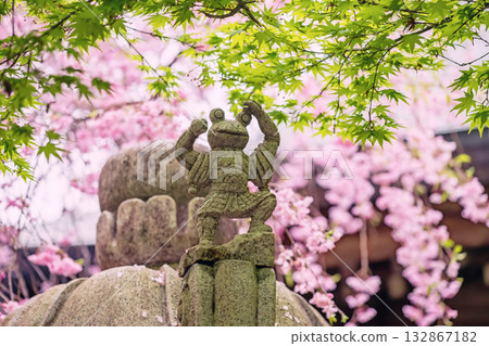 Frog statue with pink sakura blossom, Nyoirinji Temple, Ogori Frog statue with pink sakura blossom, Nyoirinji Temple, Ogori 132867182