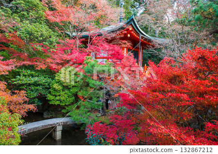 Bridge to Bishamondo temple pagoda by colorful autumn garden, Kyoto 132867212