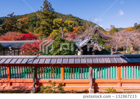 Bishamondo temple wall by autumn foliage garden, Kyoto 132867213