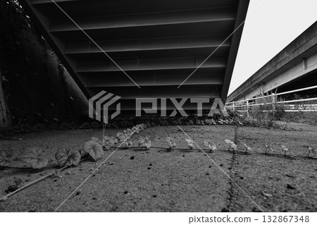 Monochrome City 132867348