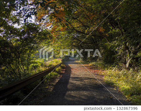 秋日山間公路風景 132867396
