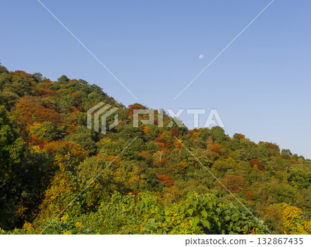 Autumn leaves spreading across the mountains and the moon floating in the blue sky Autumn leaves spreading across the mountains and the moon floating in the blue sky 132867435