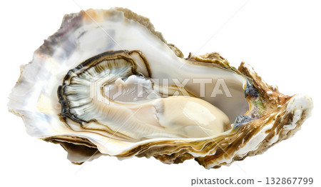 Fresh opened oyster isolated on white background png transparent clipart. 132867799
