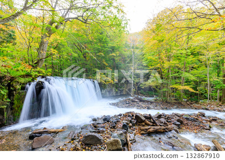 秋季的奧入瀨峽谷,銚子瀑布,青森縣十和田市 秋季的奧入瀨峽谷,銚子瀑布,青森縣十和田市 132867910