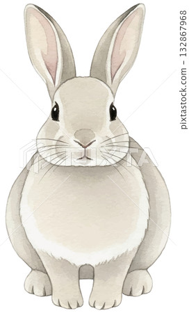 Simple watercolor illustration of a rabbit 132867968
