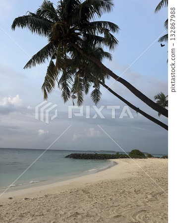 Maldives Paradise Island with Beach Swing and Loungers 132867988