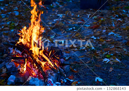 Dark evening forest bonfire for grilling, barbecue 132868143