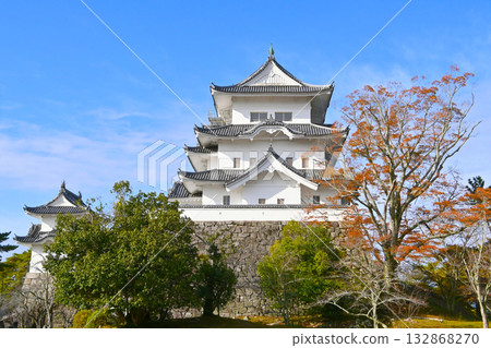 伊賀上野城堡在秋天 伊賀上野城堡在秋天 132868270