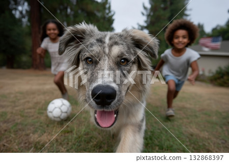 Kids run with joy while playing baseball with their dog in a grassy backyard on a sunny afternoon 132868397