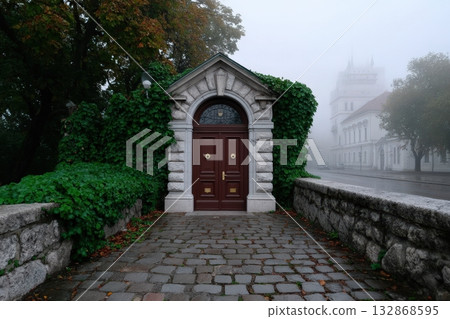 Victorian door with brass knocker surrounded by mist and greenery in a quiet street setting 132868595