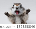 Marmot standing on its hind legs in a playful pose against a neutral background 132868840