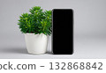 Mockup of a smartphone beside a decorative plant in a minimalist setting with neutral background 132868842