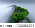 Trees shaped like a letter emerge from the mist in a serene mountain landscape 132868853