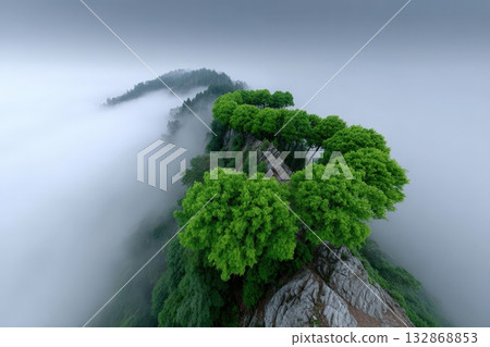 Trees shaped like a letter emerge from the mist in a serene mountain landscape 132868853